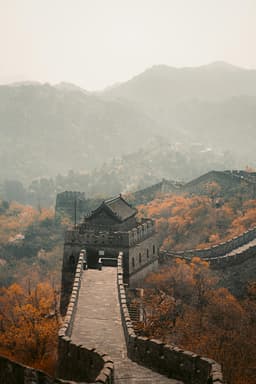 Visa Processing